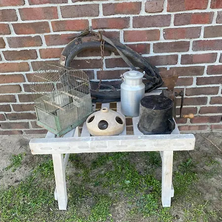 Ferienwohnungen-lubkow * Bergen Auf Rugen